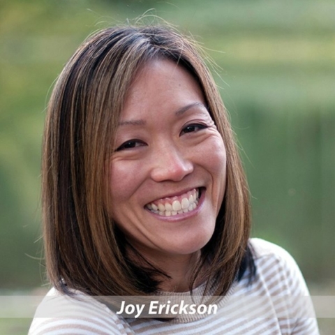 Joy Erickson, Board of Directors